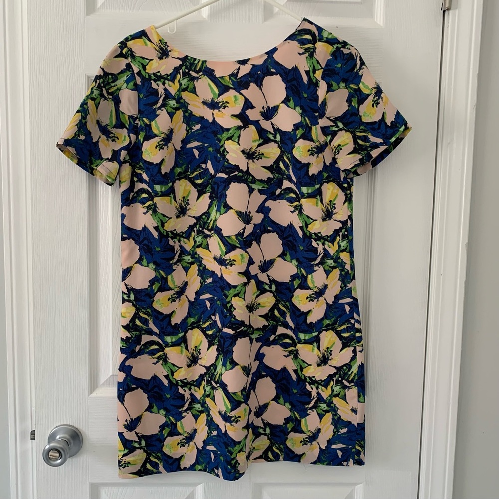 J. Crew Pale Pink and Blue Dress
